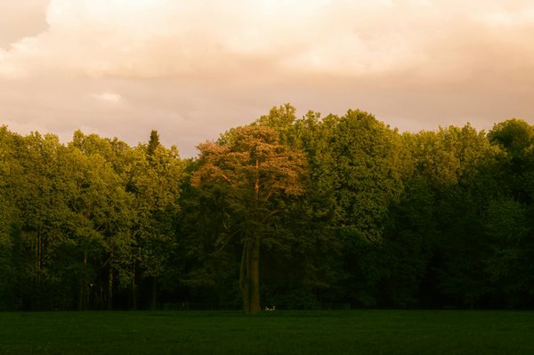 How do UK climate conditions affect weight loss efforts?